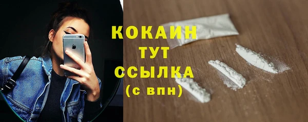 гашик Белоозёрский