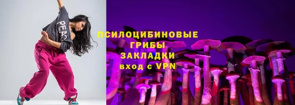 гашик Белоозёрский
