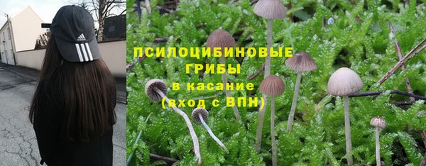гашик Белоозёрский