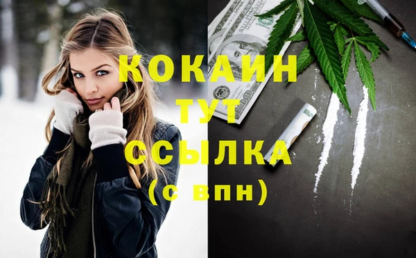 гашик Белоозёрский